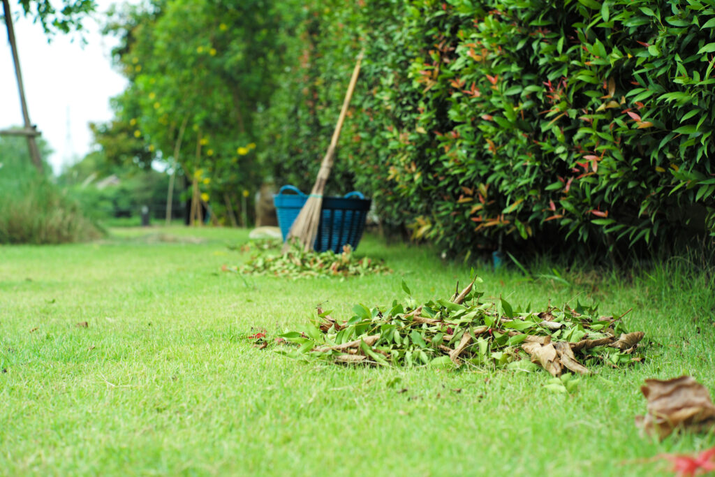 Yard Debris Removal